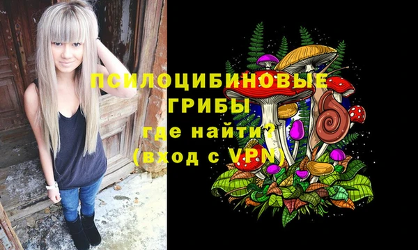 гидра Алексин