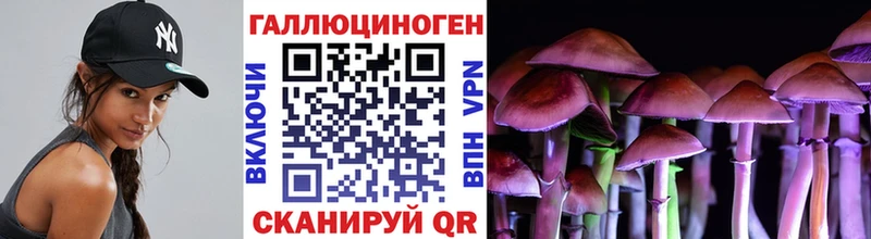 дарнет шоп  Егорьевск  Галлюциногенные грибы MAGIC MUSHROOMS 
